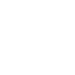 wedding_arch